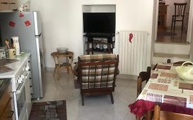 Lucy Home